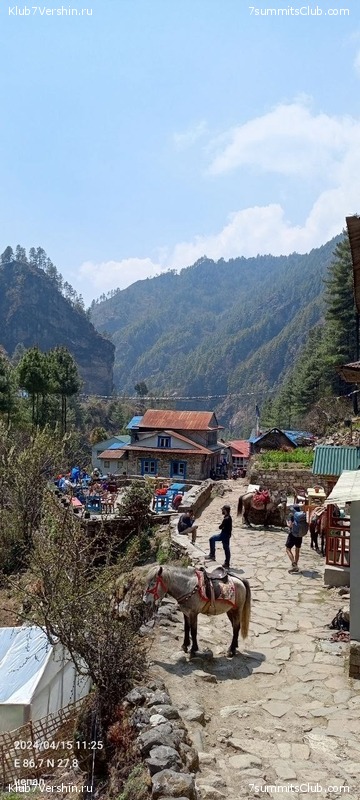 ������� 2024. ������ ����� 8000, ���� 149