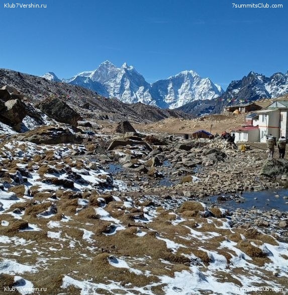 ������� 2024. ������ ����� 8000, ���� 25