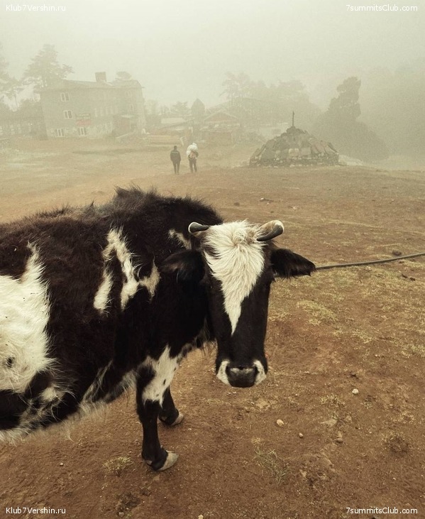 �������� � ������� ������ ��������. ������� ��������� 2024 ���, ���� 151