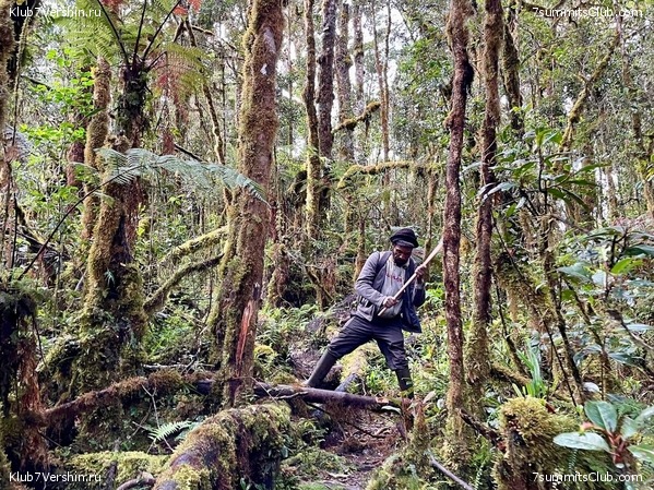 ������. ������� 2024 ���. ��� ���������, ���� 39