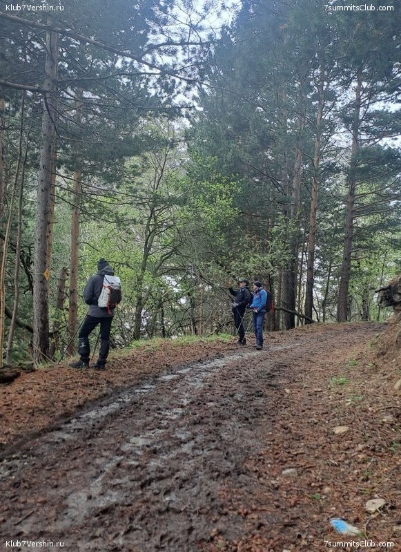 ������� 2024.  �� ���� ������, ���� 71