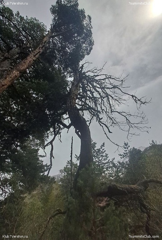 ������� 2024.  �� ���� ������, ���� 80