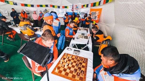 Ever-Chess 2024 ,  100