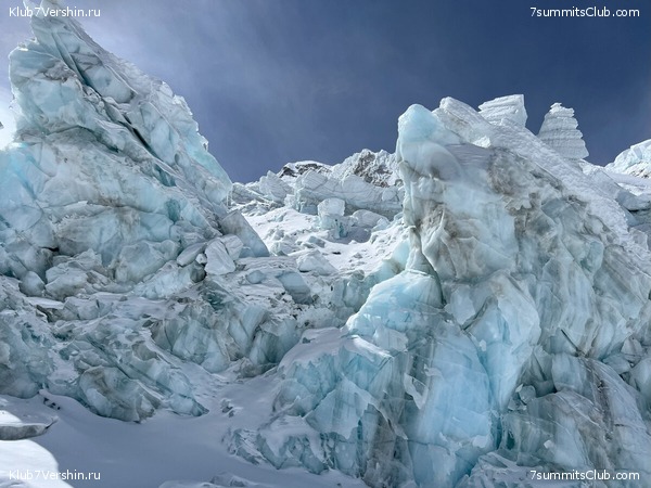 ������������ 2024. ���� ������, ���� 8