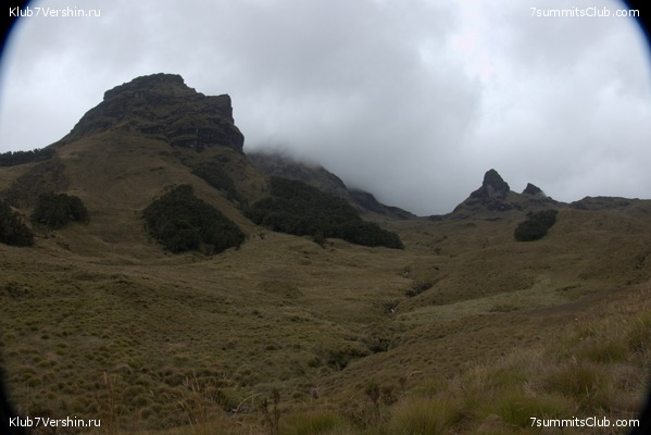 ����� ����� ������. ��� 2024 ����. ����������, ���� 91