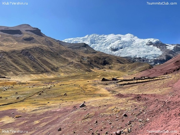   .  -  2024. . ,  110