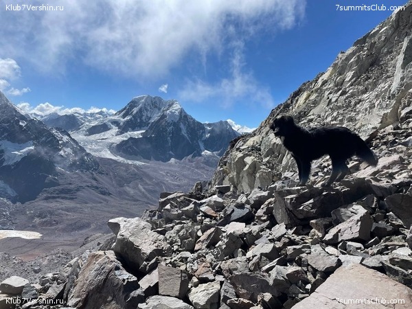   .  -  2024. . ,  147