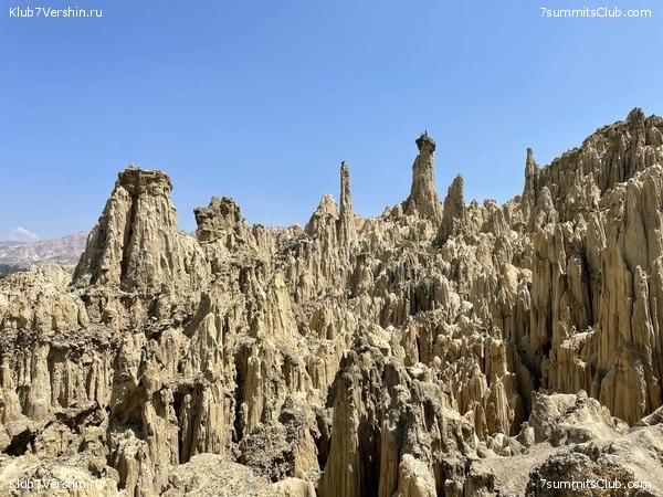 �������. 2024, �����, ���� 36