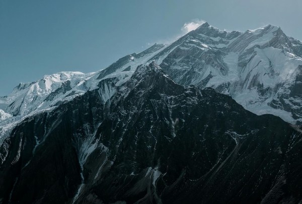 ������� �� �������� � ���������� 2024 ���, ���� 115