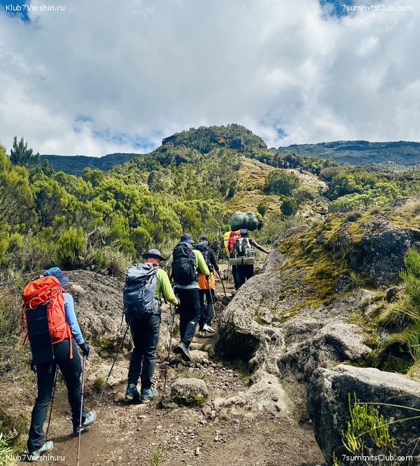 00-������������. �������: ������ - ������� 2025 ����, ���� 104