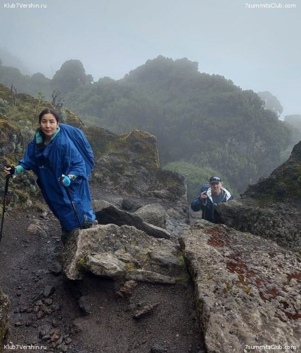 00-������������. �������: ������ - ������� 2025 ����, ���� 146