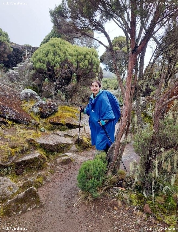 00-������������. �������: ������ - ������� 2025 ����, ���� 205