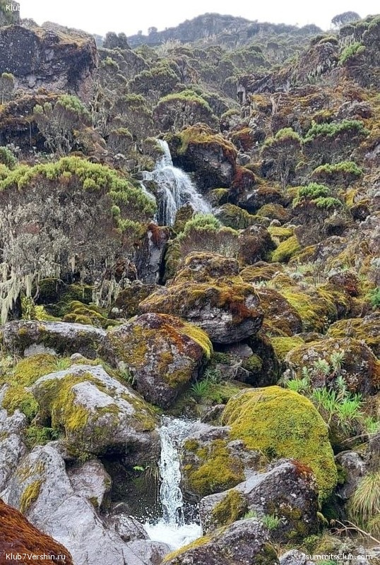 00-������������. �������: ������ - ������� 2025 ����, ���� 320