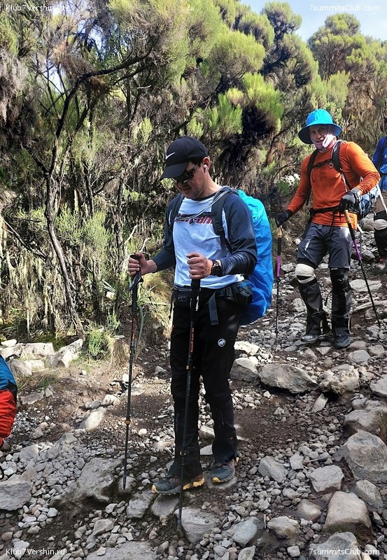 00-������������. �������: ������ - ������� 2025 ����, ���� 311