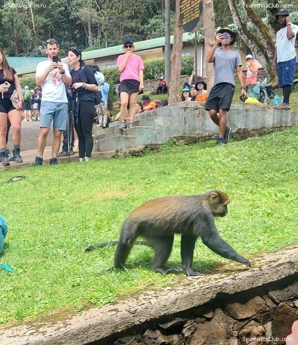 00-������������. �������: ������ - ������� 2025 ����, ���� 135