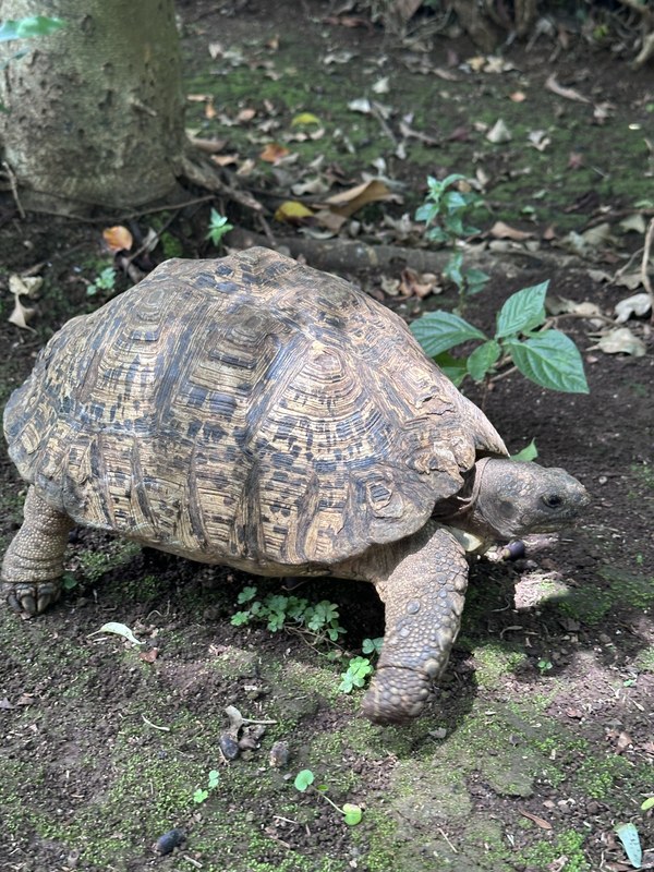 ������������. ������ - ������� 25. ���� ���������� ��������, ���� 7