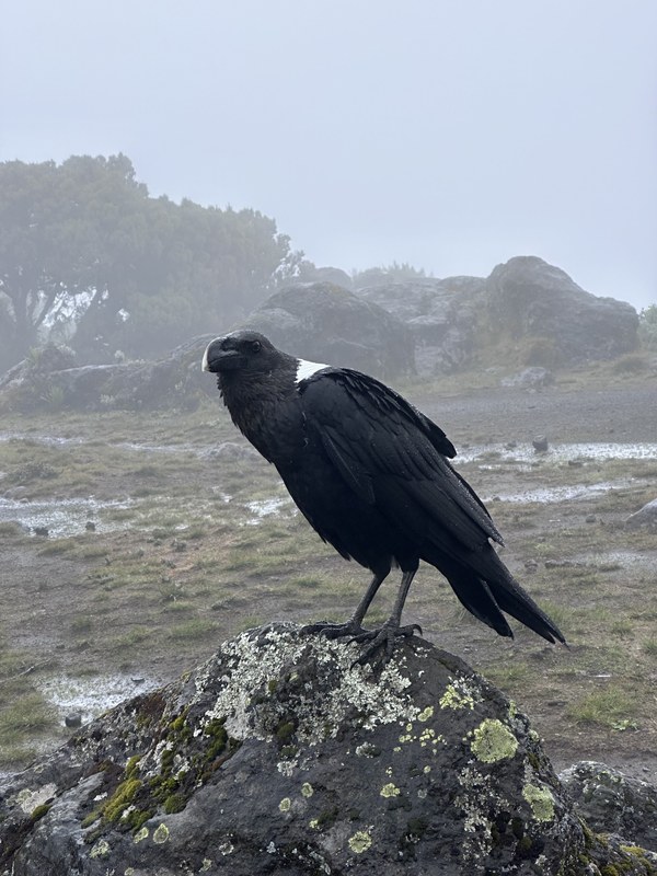 ������������. ������ - ������� 25. ���� ���������� ��������, ���� 13