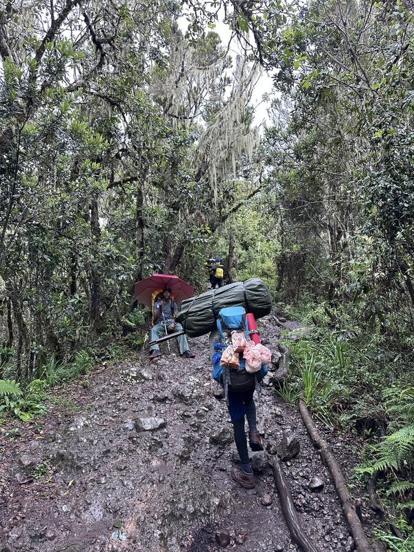 ������������. ������ - ������� 25. ���� ���������� ��������, ���� 14