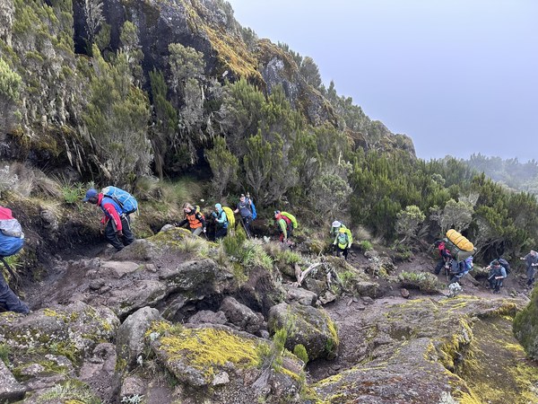 ������������. ������ - ������� 25. ���� ���������� ��������, ���� 2