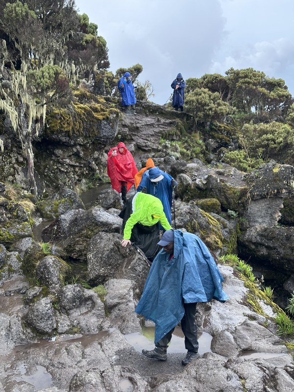 ������������. ������ - ������� 25. ���� ���������� ��������, ���� 15