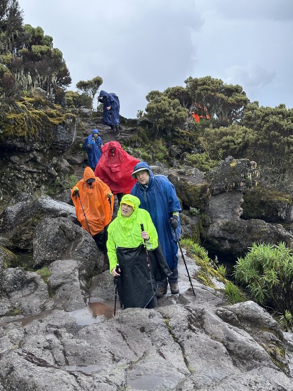 ������������. ������ - ������� 25. ���� ���������� ��������, ���� 20