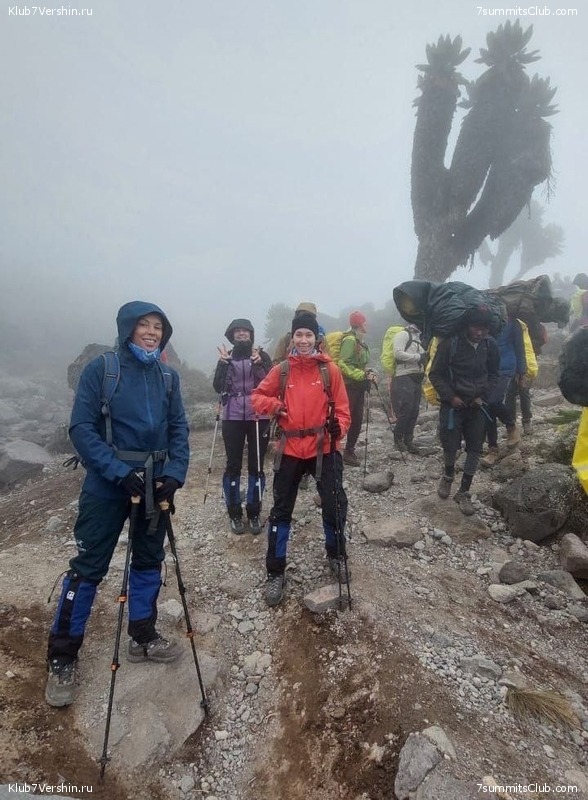 00-������������. �������: ������ - ������� 2025 ����, ���� 271