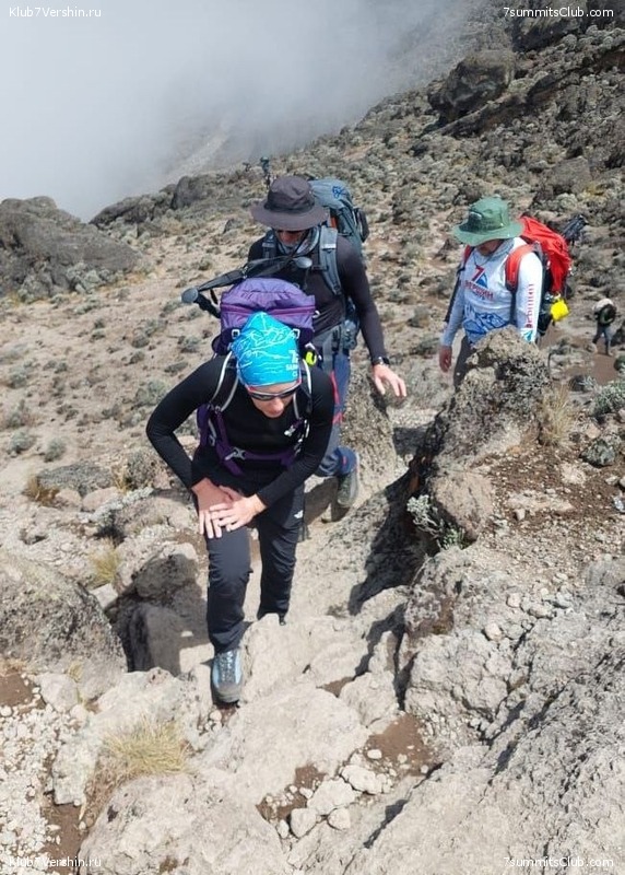 00-. :  -  2025 ,  293