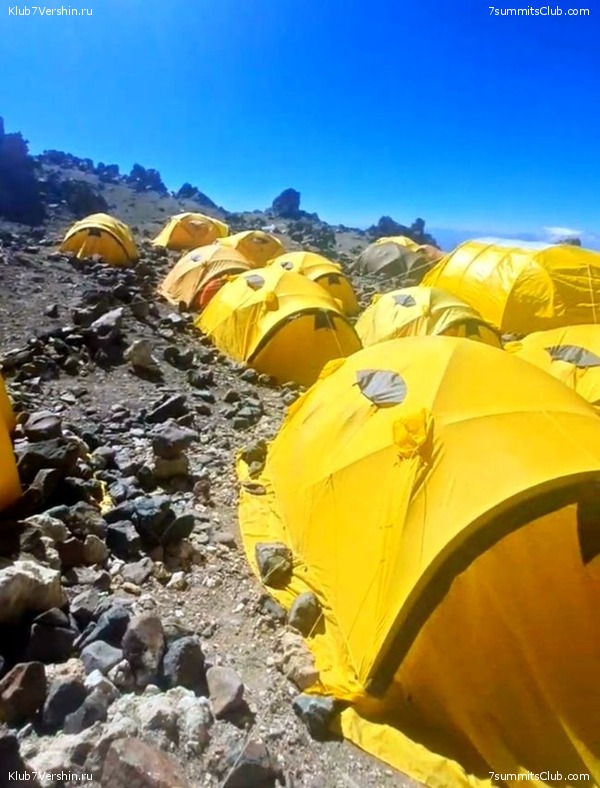 ��������� 2024 - 2025. �������. ������� - �������, ���� 180