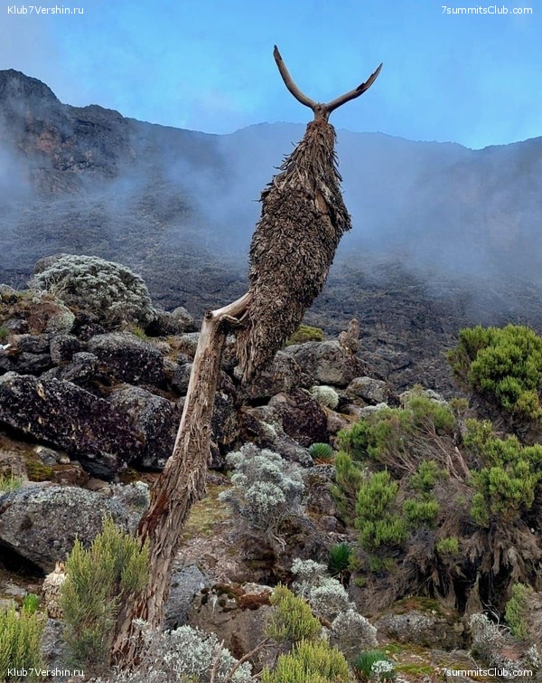 00-������������. �������: ������ - ������� 2025 ����, ���� 186