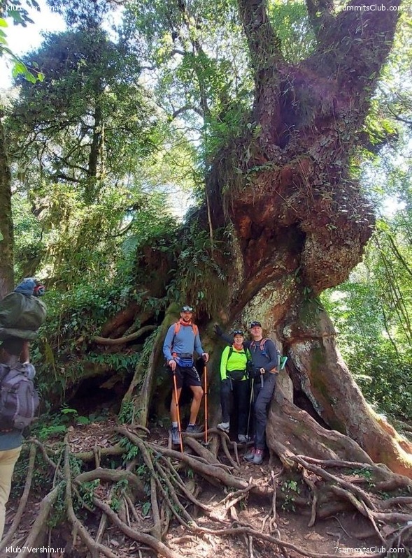 00-������������. �������: ������ - ������� 2025 ����, ���� 272