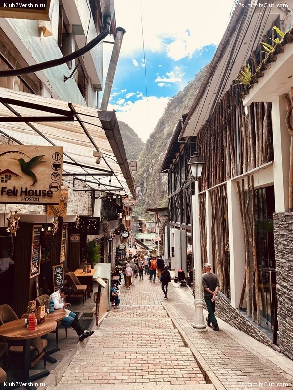 ���� 2025  ������� - ����. ��������� ������� - ����� ������, ���� 81