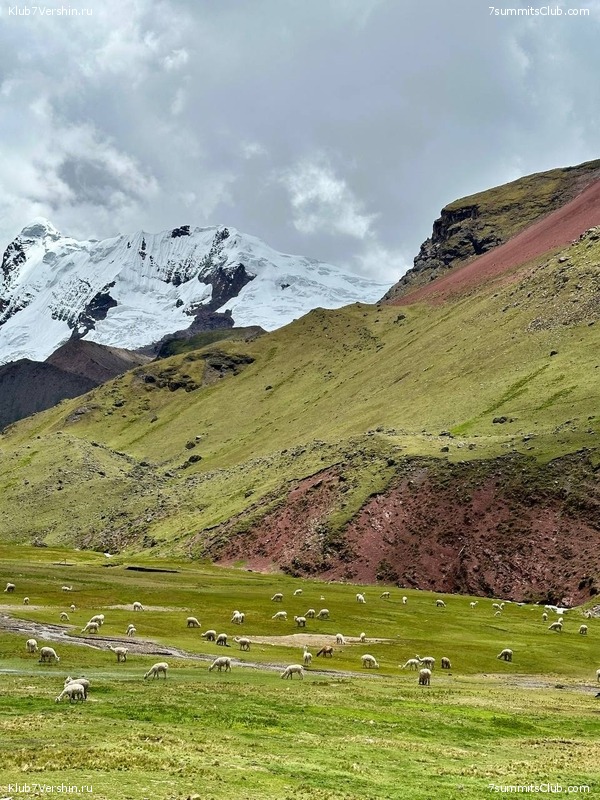 ���� 2025  ������� - ����. ��������� ������� - ����� ������, ���� 108