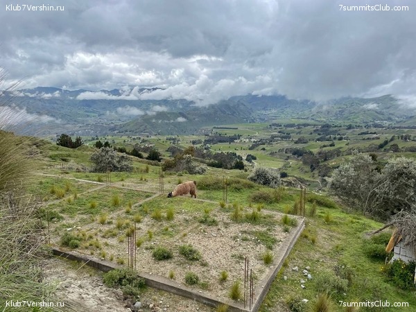 ������� 2025, ���� 72