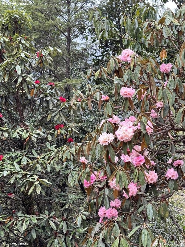 ����� 2025. ������ - ���, ���� 138