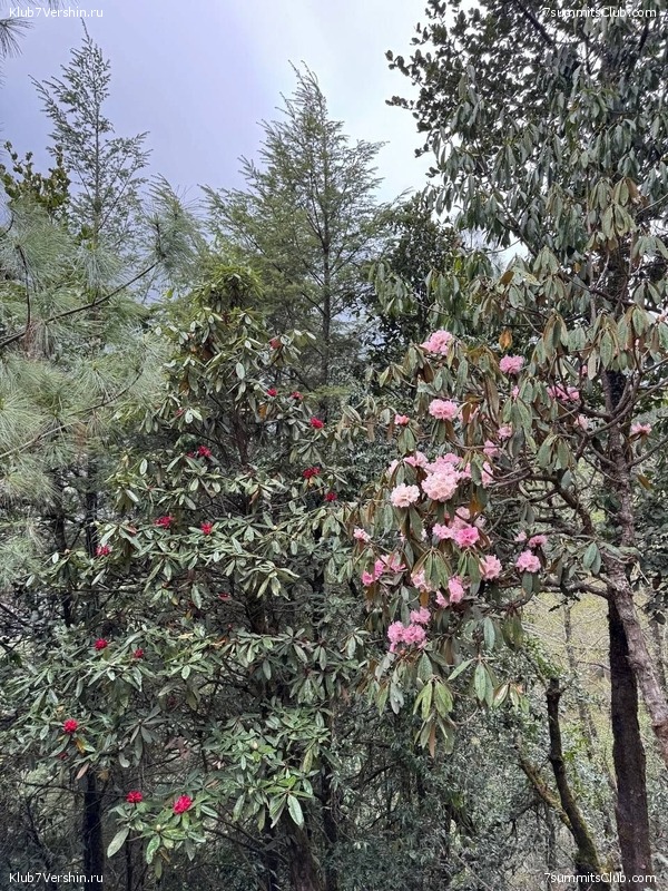 ����� 2025. ������ - ���, ���� 139