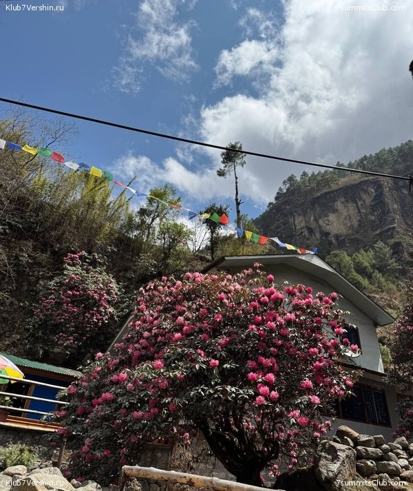 ����� 2025. ������ - ���, ���� 111