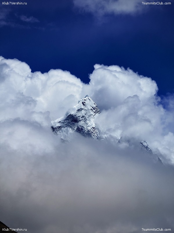 ������ ��� 2025. ����� ���������� ����� ��������, ���� 17