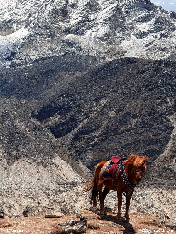 ������ ��� 2025. ����� ���������� ����� ��������, ���� 57