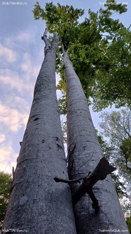 ������ ����� � ����� 2025 ���, ���� 103