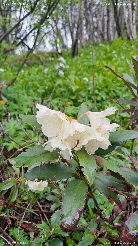 ������� 2025. ����, ���� 424