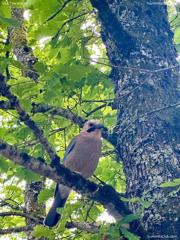 ������� ������ 2025. ������������� ����, ���� 23