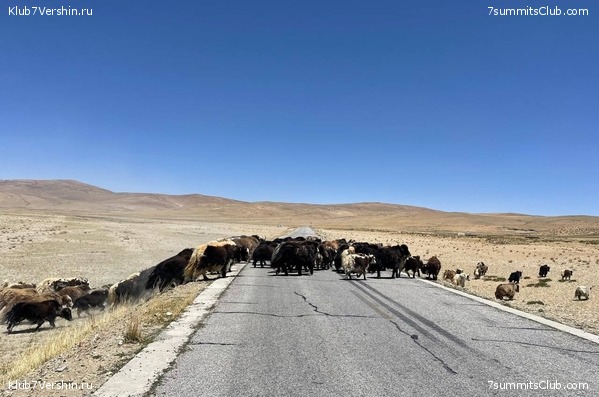 ����� - ������ 2025, ���� 18