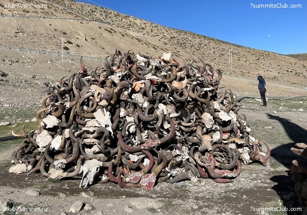 ����� - ������ 2025, ���� 34