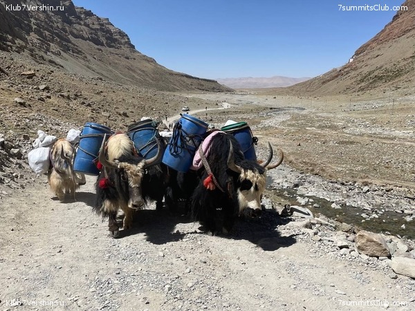 ����� - ������ 2025, ���� 118