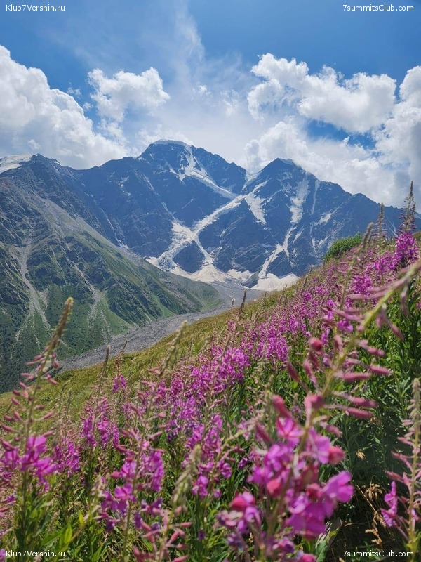 �������. ������ 2025 ����, ���� 353