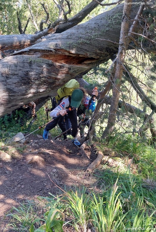 �������. ������ 2025 ����, ���� 500