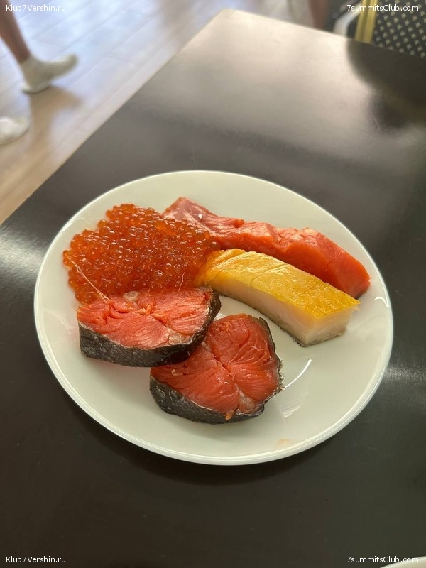 �������. ������ 2025 ����, ���� 358