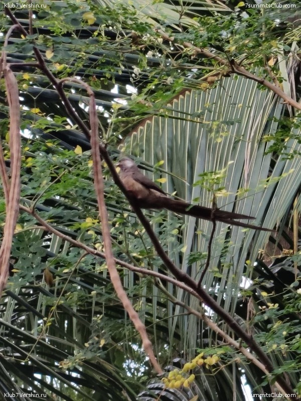 ������������ 2025. ���� - ��������, ���� 321