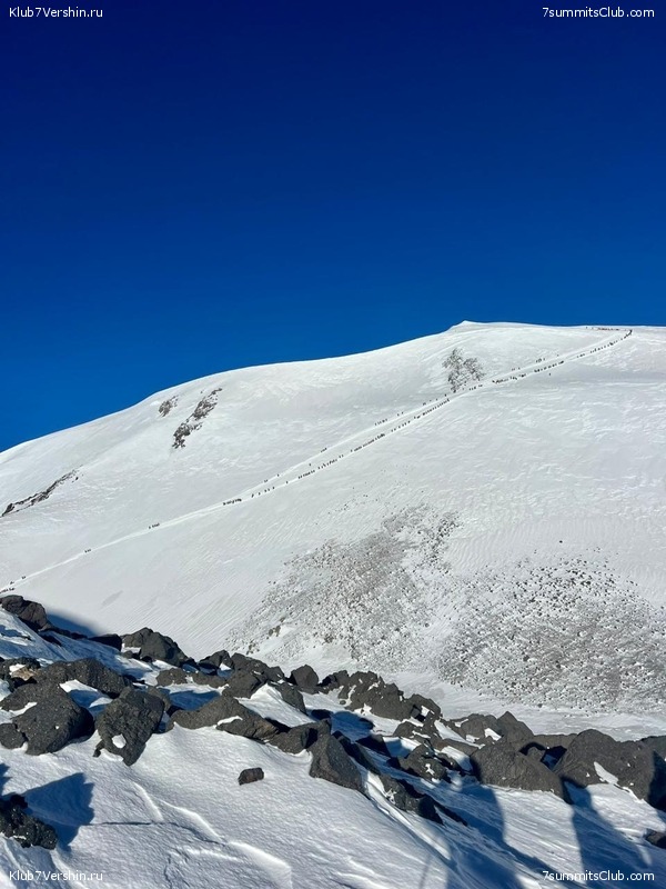 �������. ������ 2025 ����, ���� 384