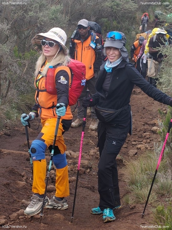 ������������ 2025. ���� - ��������, ���� 323